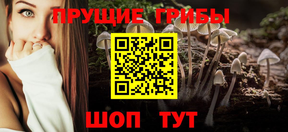 Псилоцибиновые грибы прущие грибы Ногинск